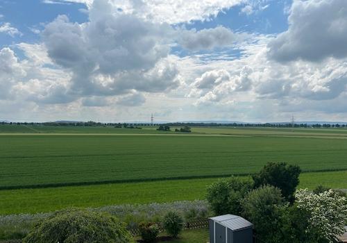 Ausblick