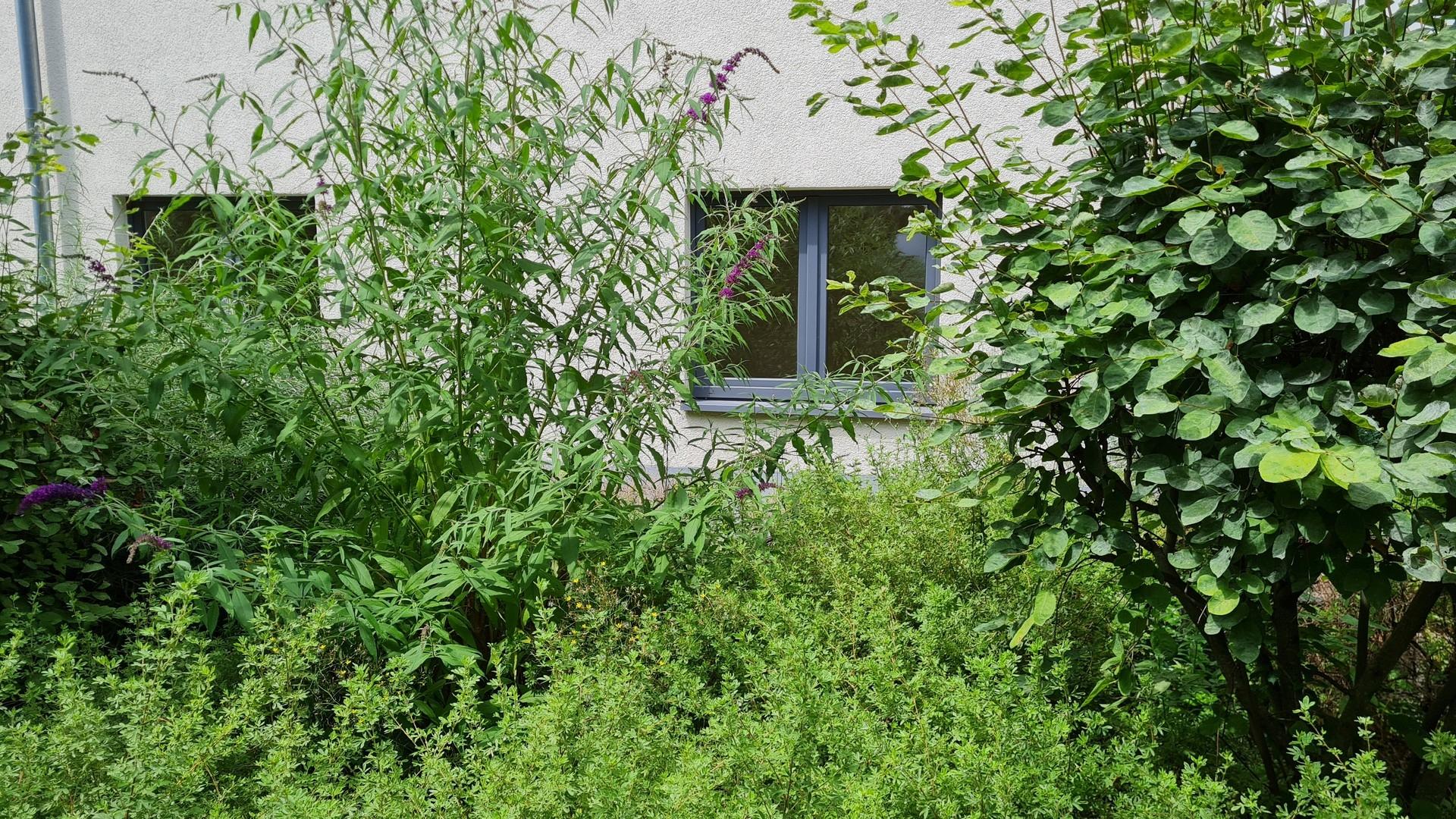 Wohnung vom Innenhof