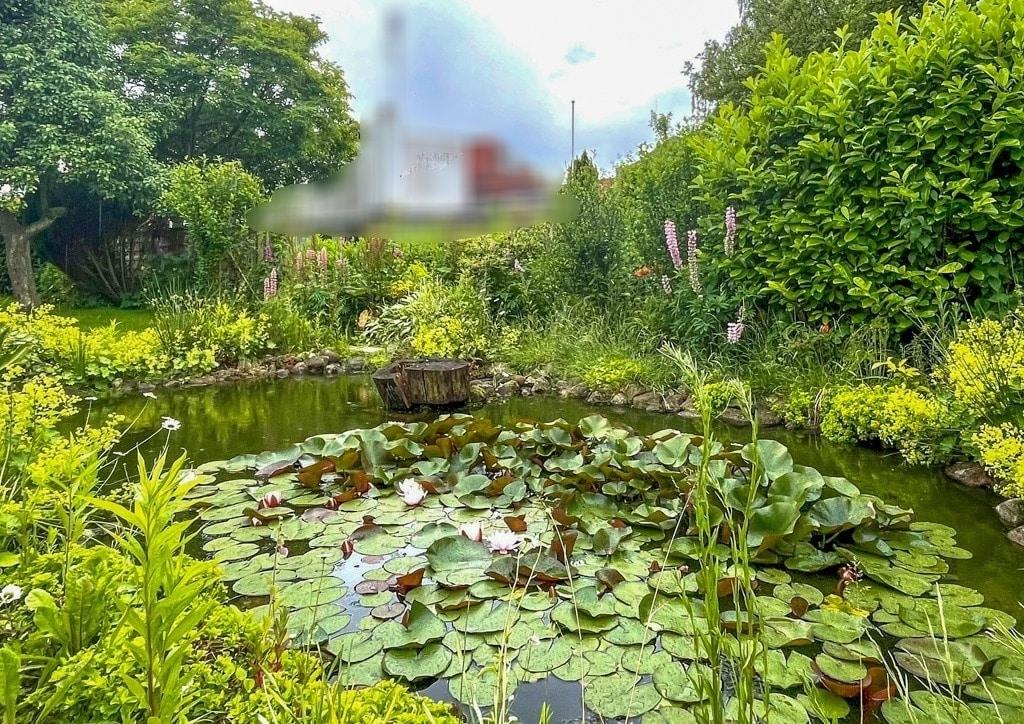 Teich mit Seerosen