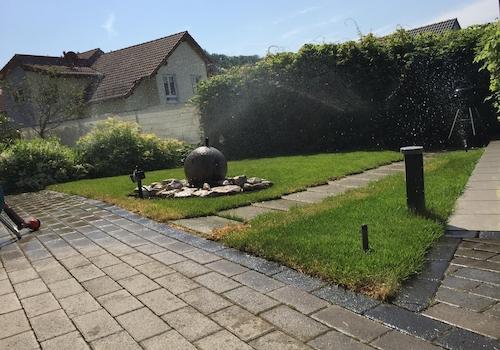 Rasen wird überarbeitet