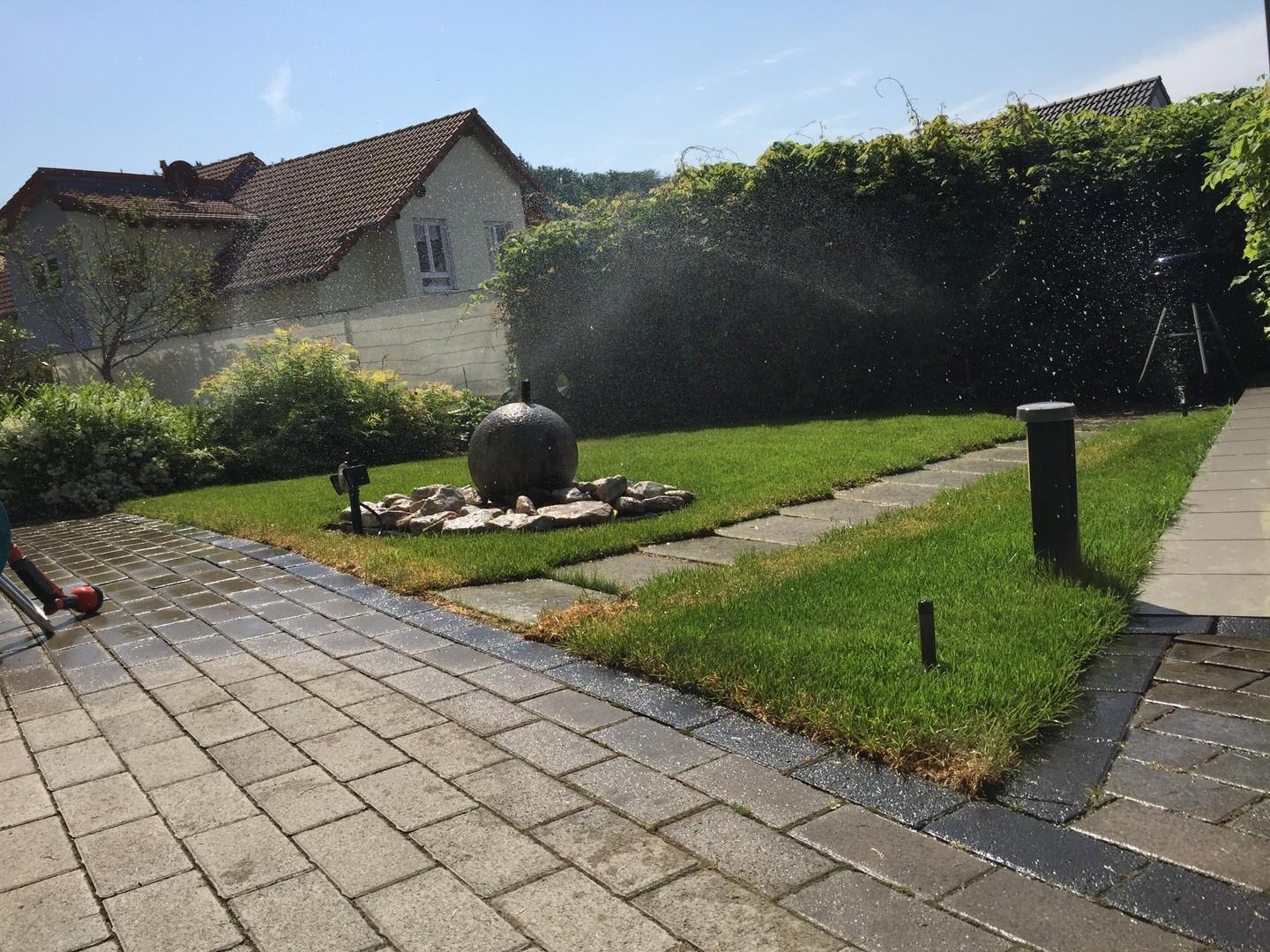 Rasen wird überarbeitet