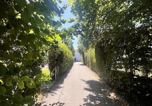 grünes Umfeld in direkter Nachbarschaft