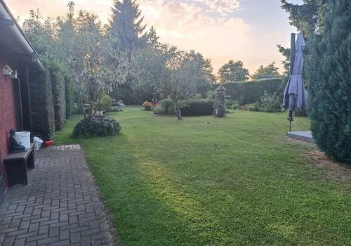 Gartenblick aus Richtung Haus