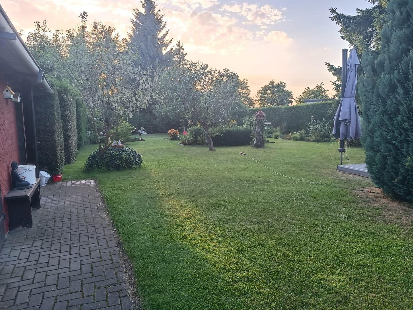Gartenblick aus Richtung Haus