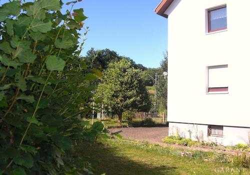 Blick in den Garten
