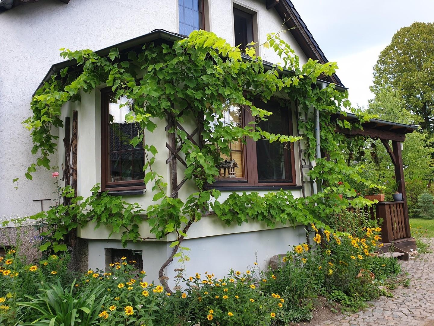 Erker/Wintergarten (Süd)