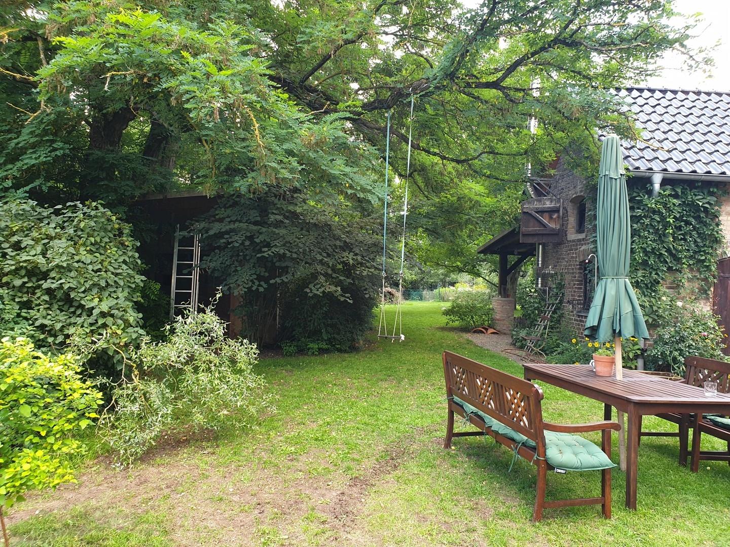 Blick in den Garten