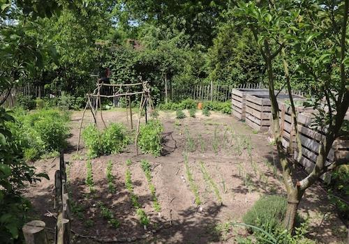 Gemüsegarten