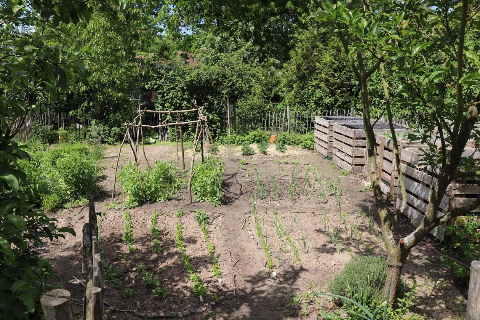 Gemüsegarten