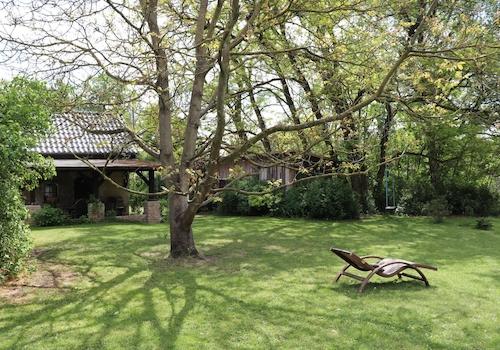 Garten, Terasse, Holzschuppen