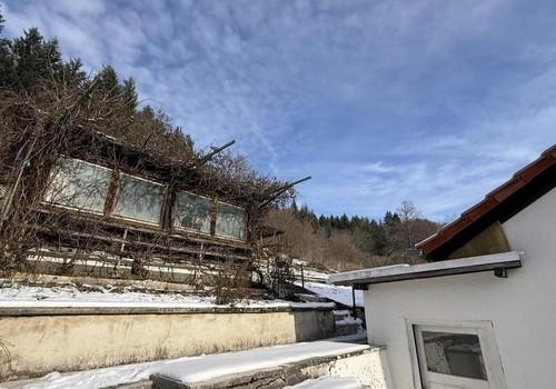 Garten & Gartenhaus