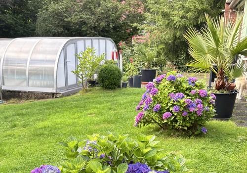 Garten mit Pool