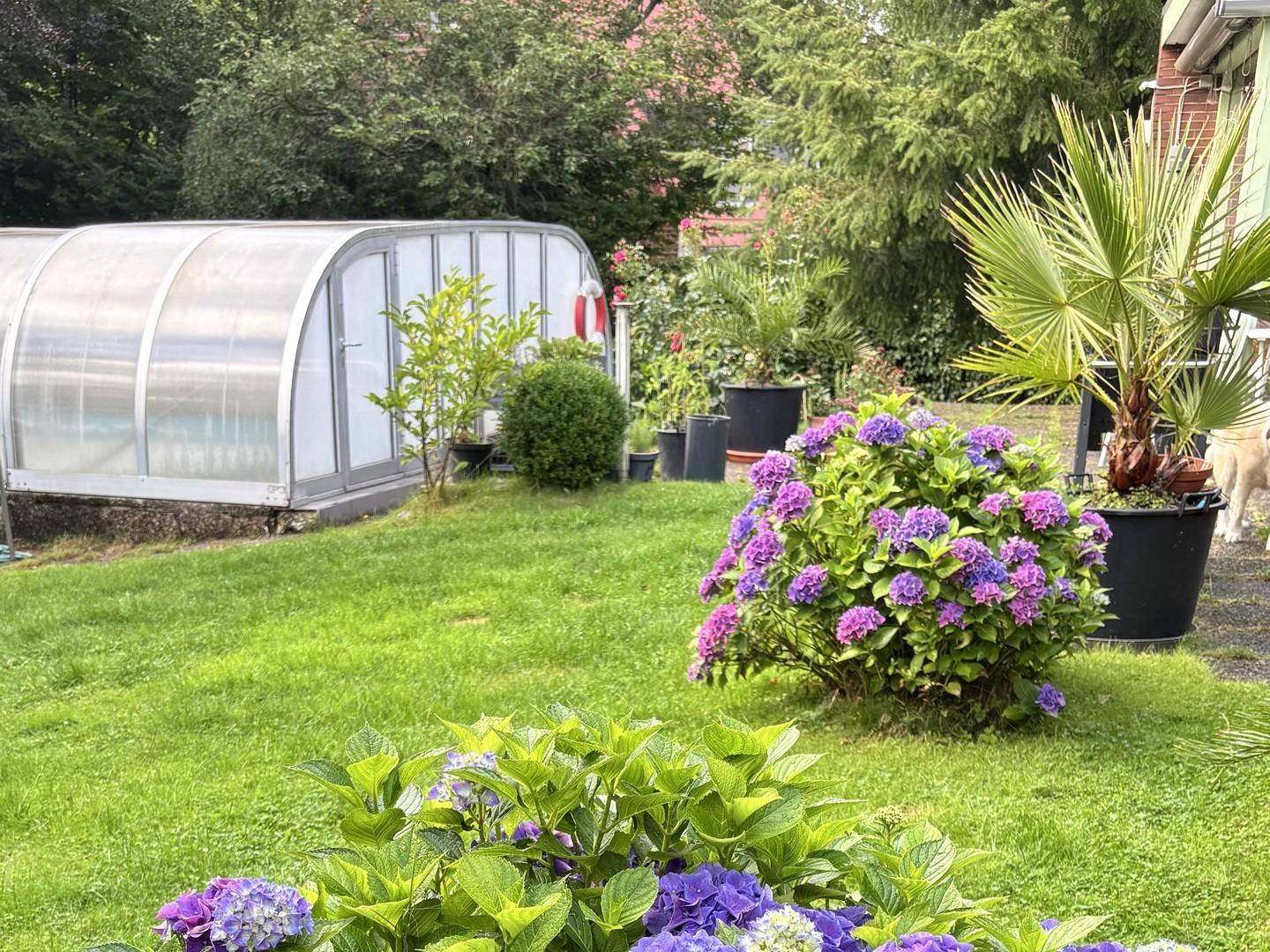 Garten mit Pool