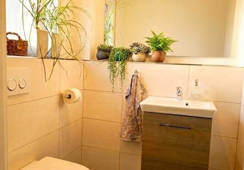 Gäste-WC 3