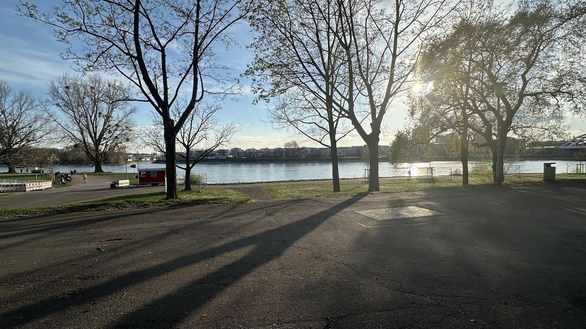 Blick zum Rhein in 1. Linie