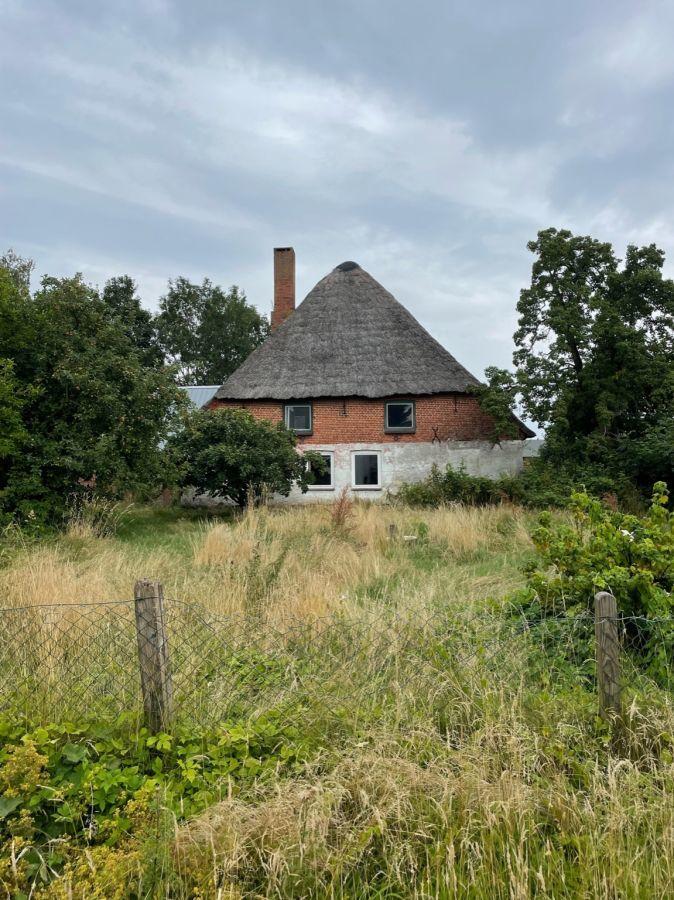 Blick über das großzügige Grundstück zum Wohnhaus