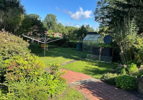 Blick in den Garten