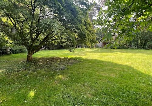 parkähnliches Grundstück 