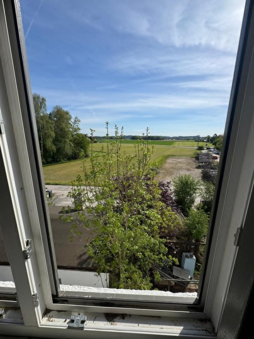 Blick DG