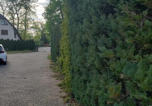 Ausfahrt vom Grundstück