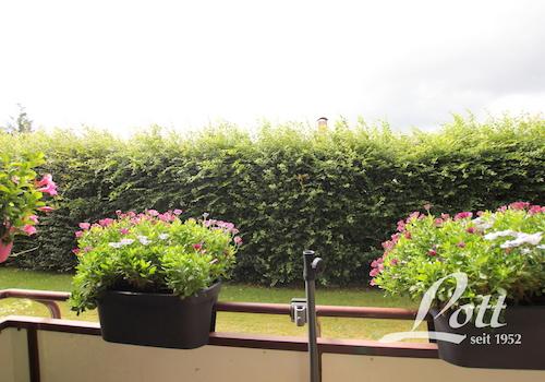 Blick vom Balkon