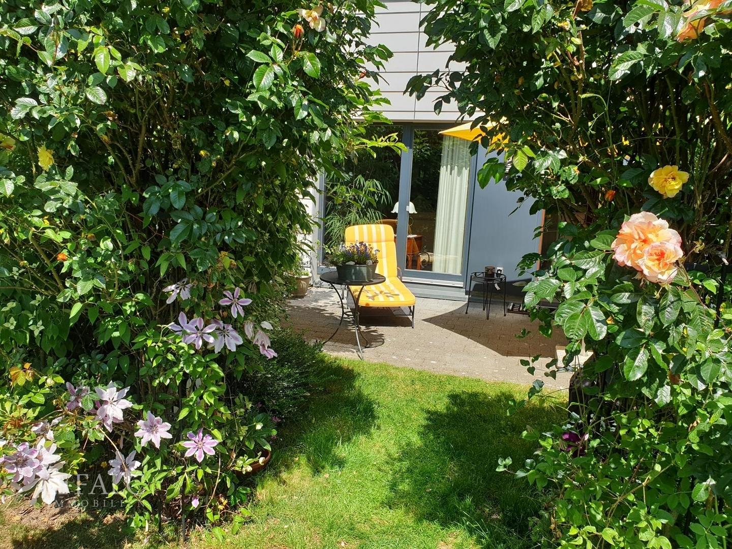 Sommerlicher Anblick 