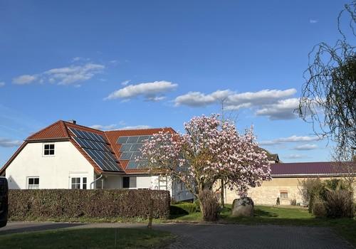 Giebel, Garten Hecke, Findling