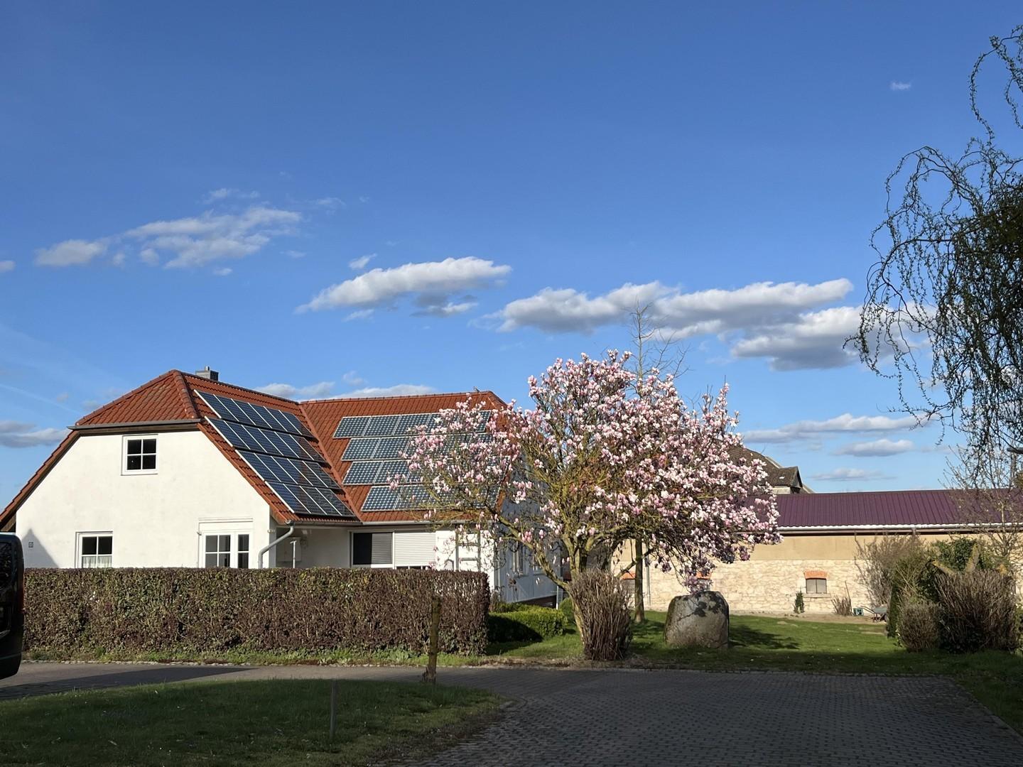 Giebel, Garten Hecke, Findling