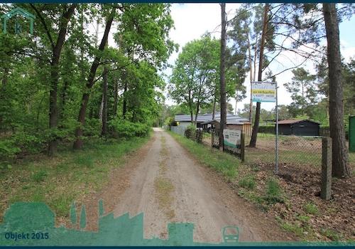 Am Grenzwald