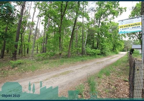den Wald vor der Tür