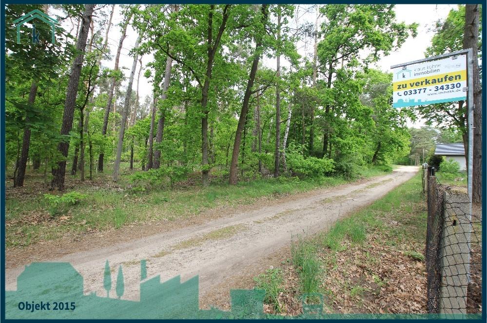 den Wald vor der Tür