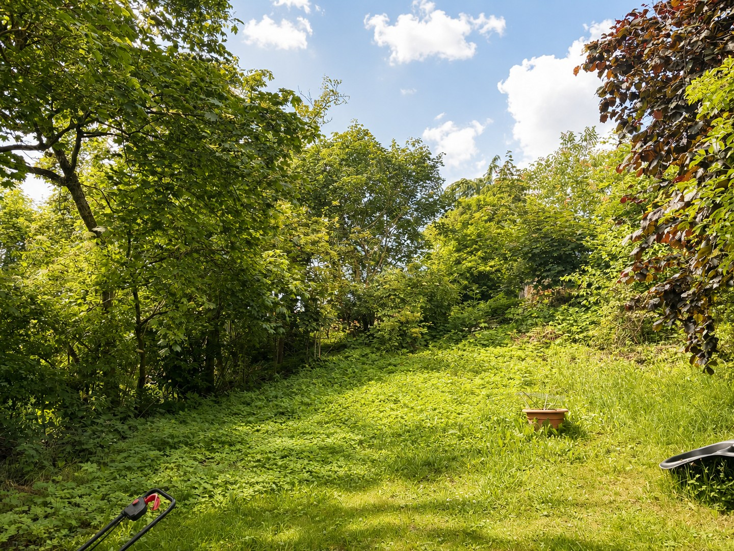 großer Garten 