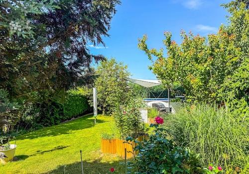 Blick in den Garten