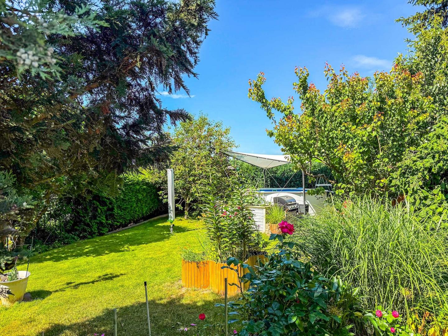 Blick in den Garten