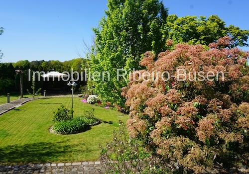Der traumhafte Garten