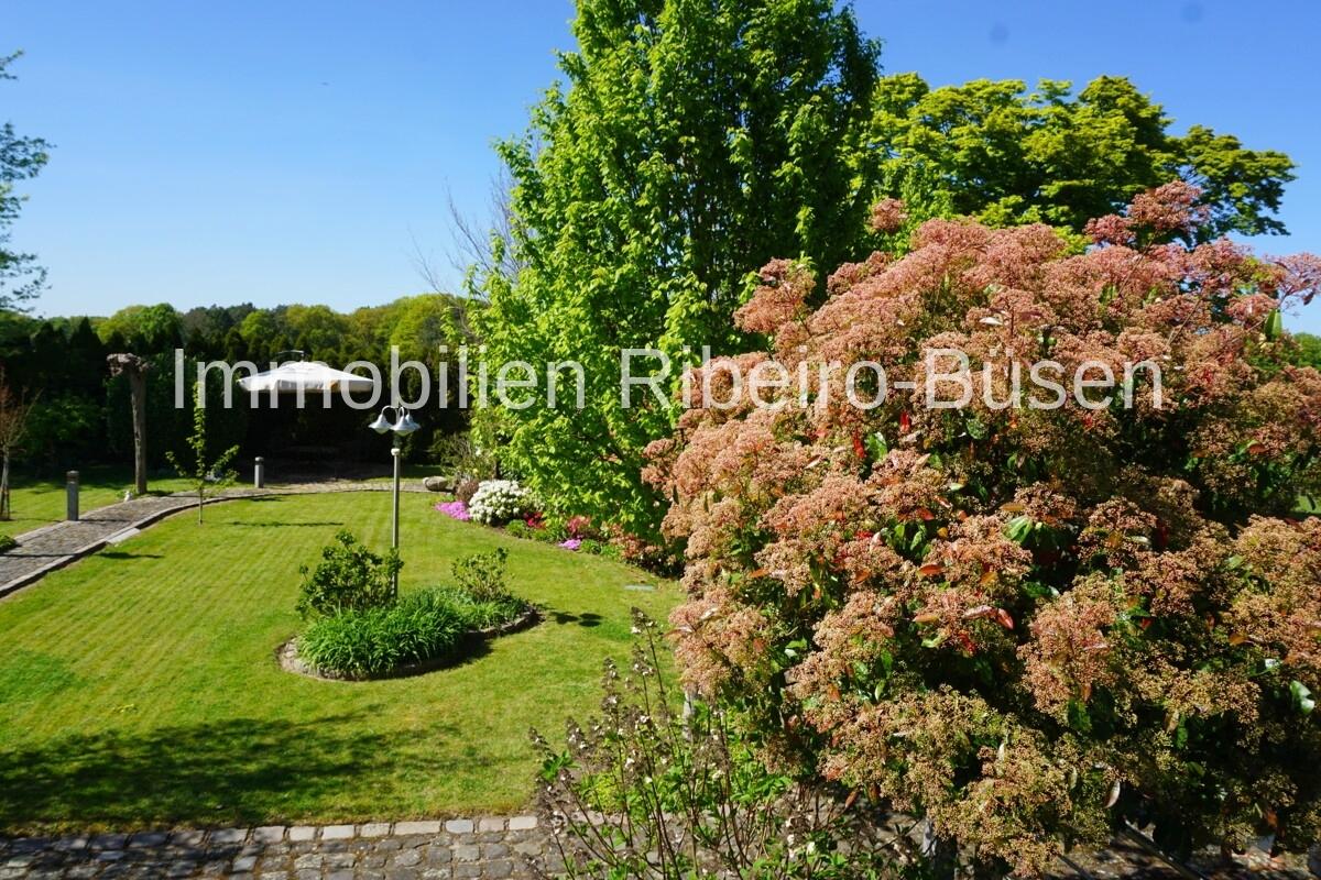 Der traumhafte Garten