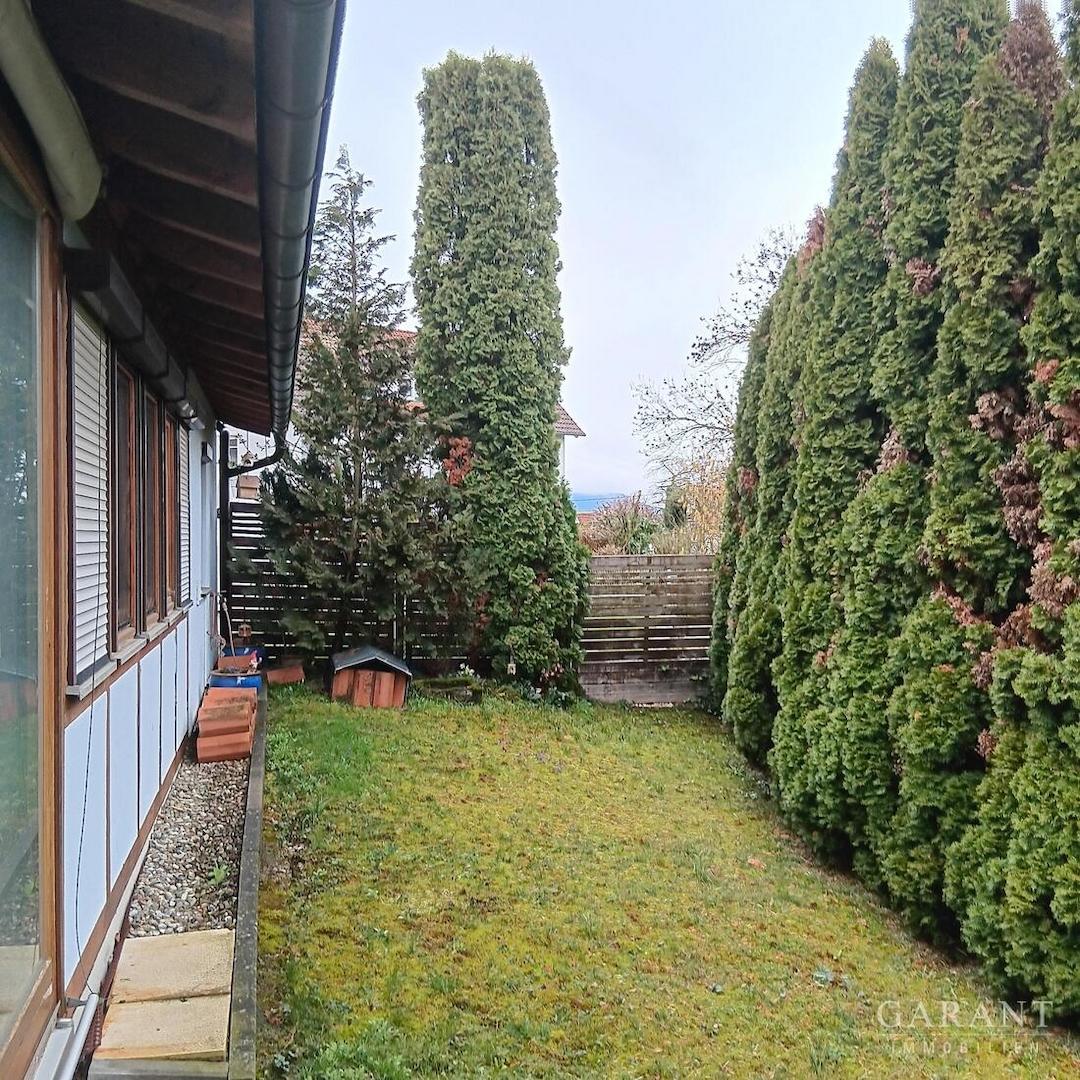 Garten Rückseite