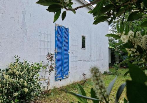 Gartenimpressionen