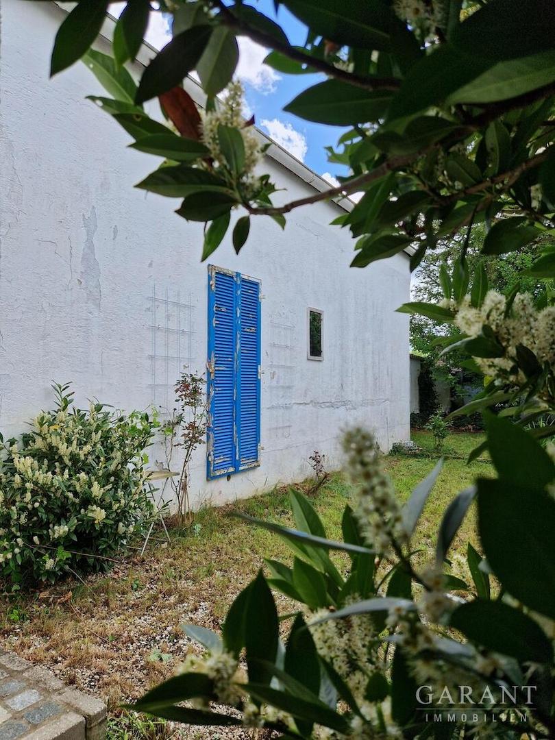 Gartenimpressionen