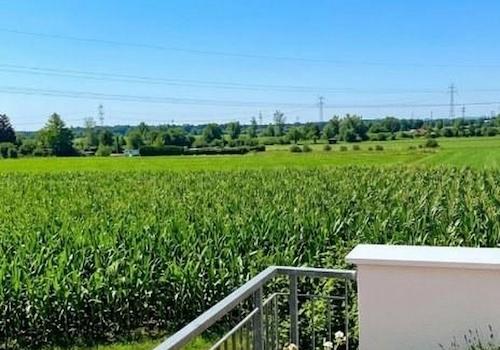 Blick vom Balkon ins Grüne