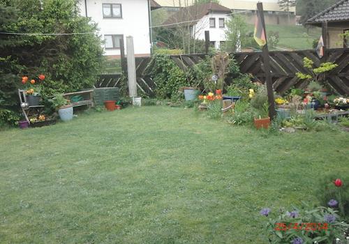 Garten zuletzt blühend