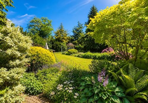 Traumhafter_garten