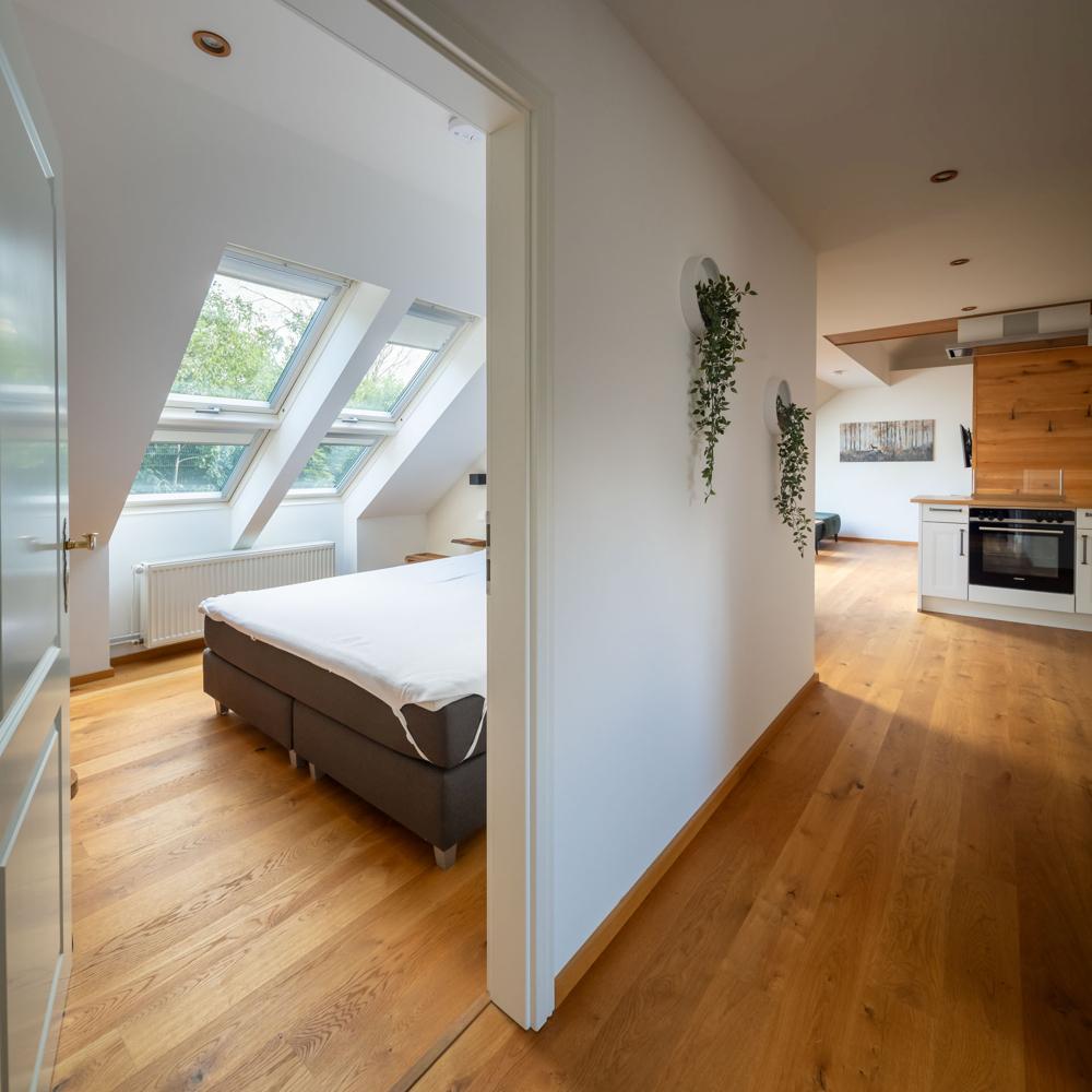 Wohnung 1 DG