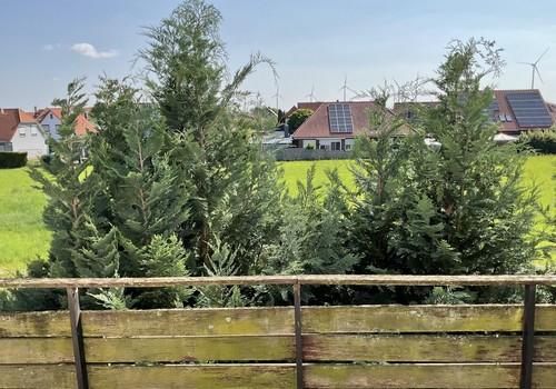 Blick vom Balkon