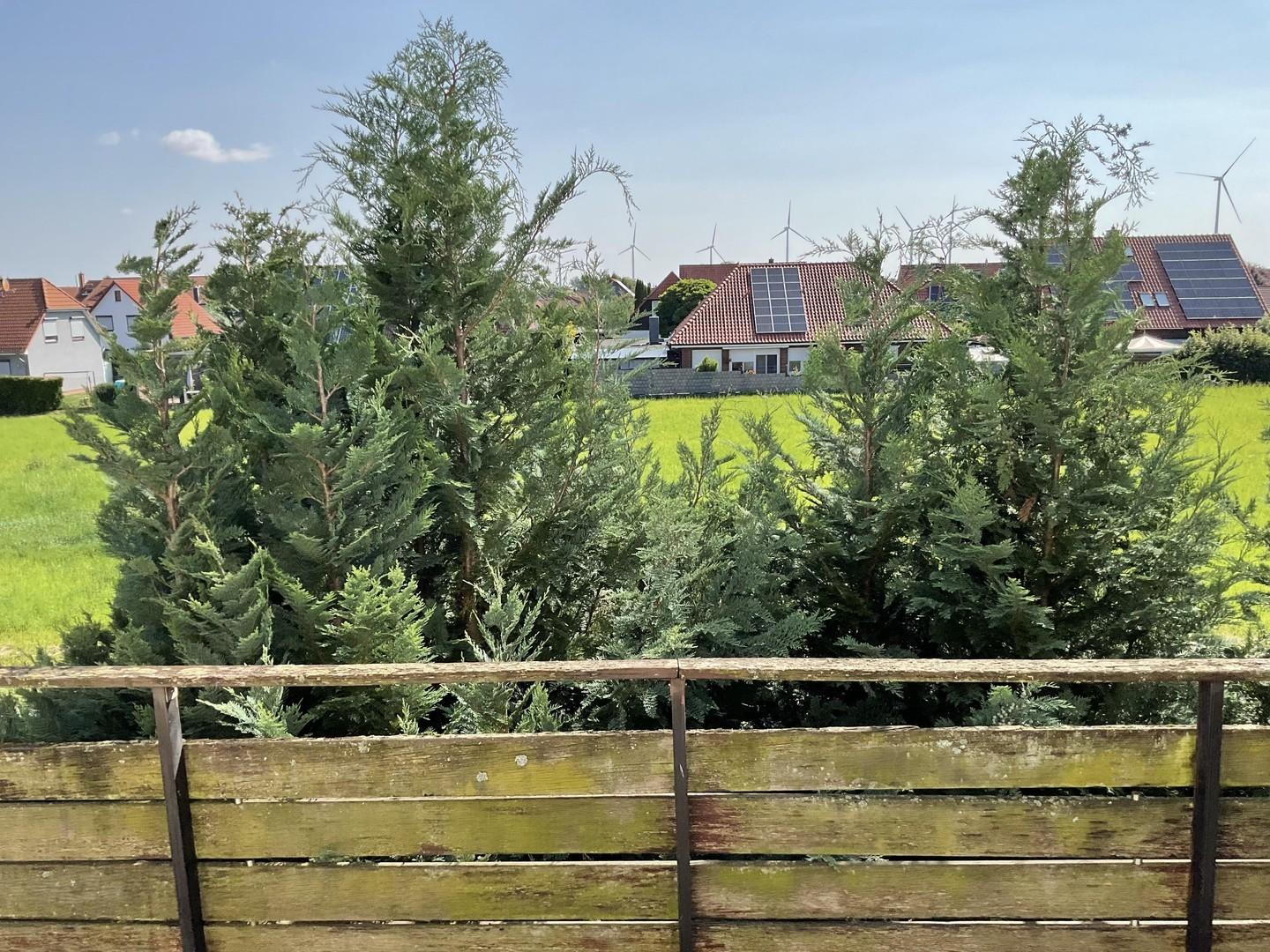 Blick vom Balkon