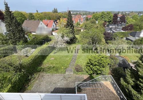 Blick in den Garten