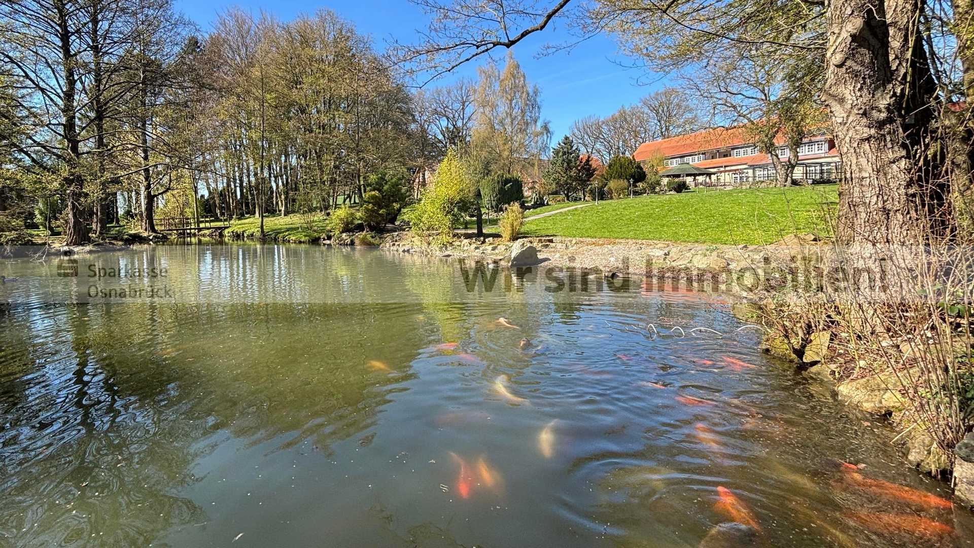 Teich mit Koi- und Störbestand