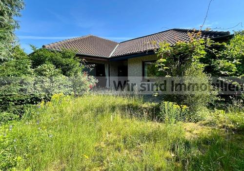 Blick In den Garten