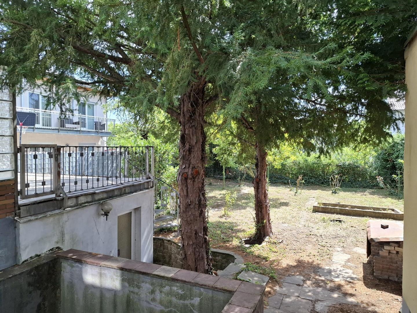 Gartenansicht 1