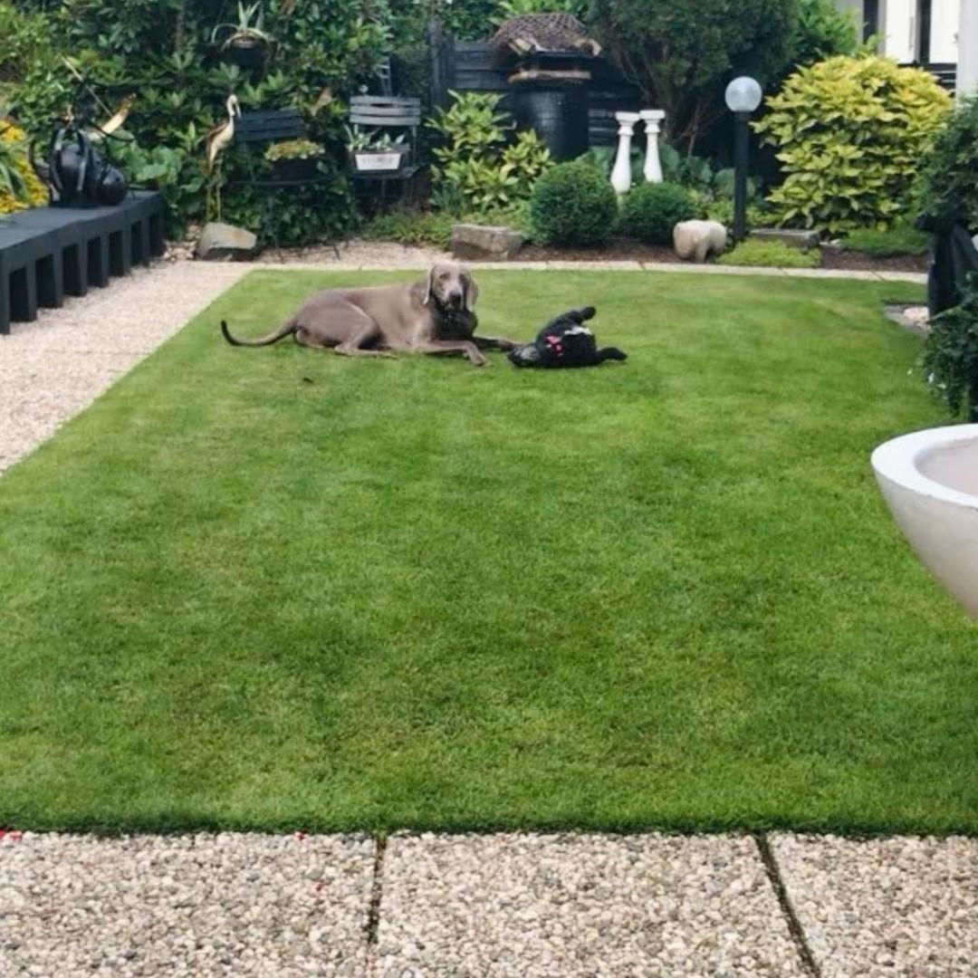 Terrasse Oben